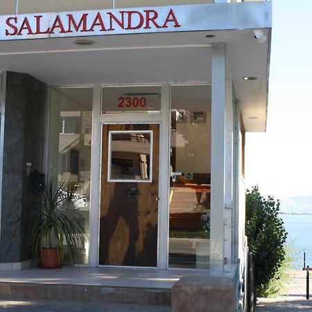 Salamandra Apartamentos Ель-Калафате Екстер'єр фото